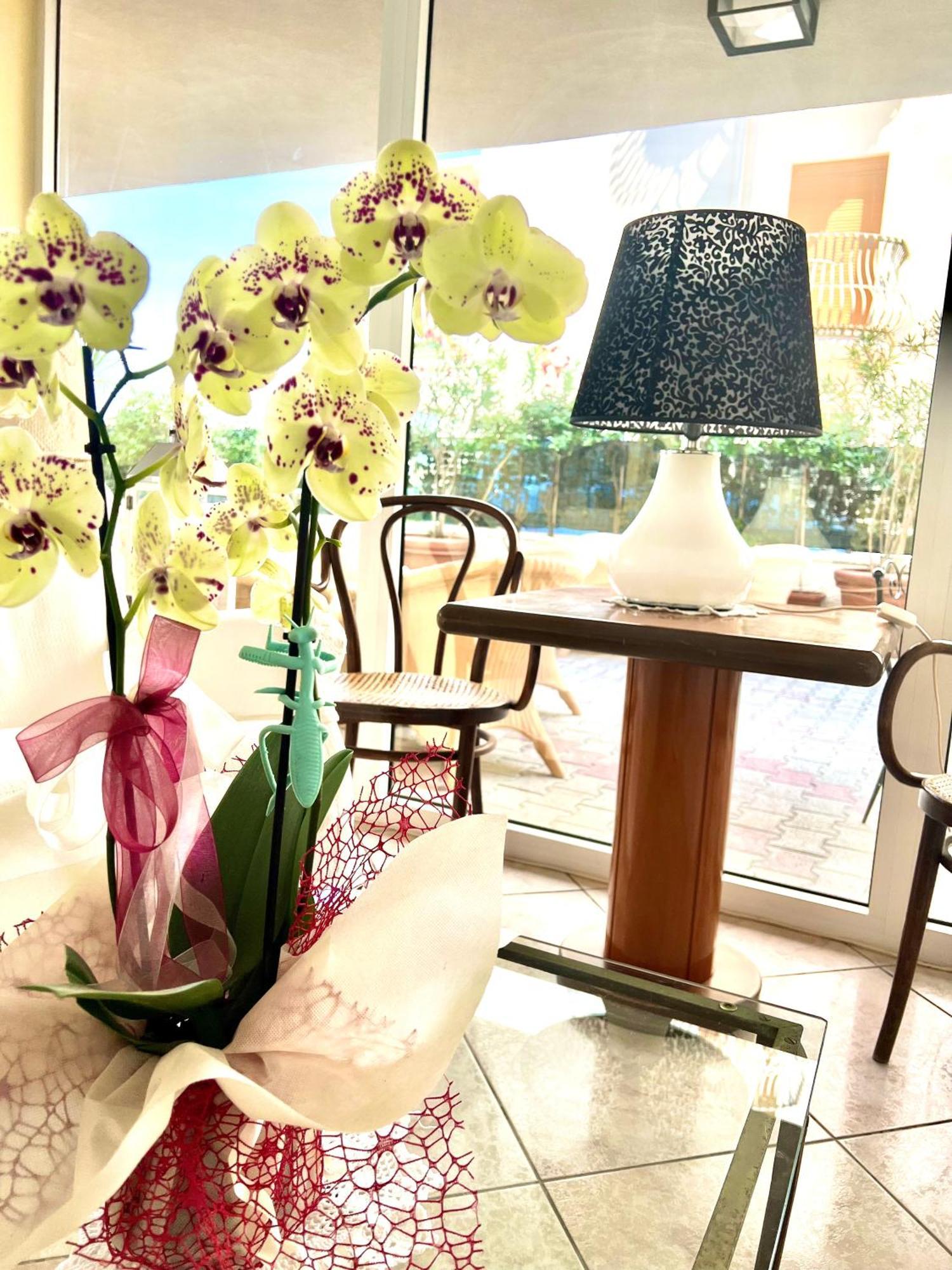 Hotel B&B Montecarlo Μιλάνο Μαριτίμα Εξωτερικό φωτογραφία